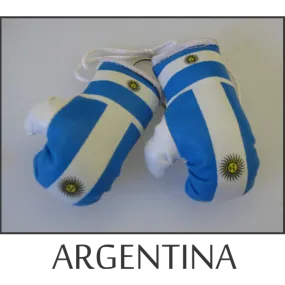 Argentina Mini Boxing Glove