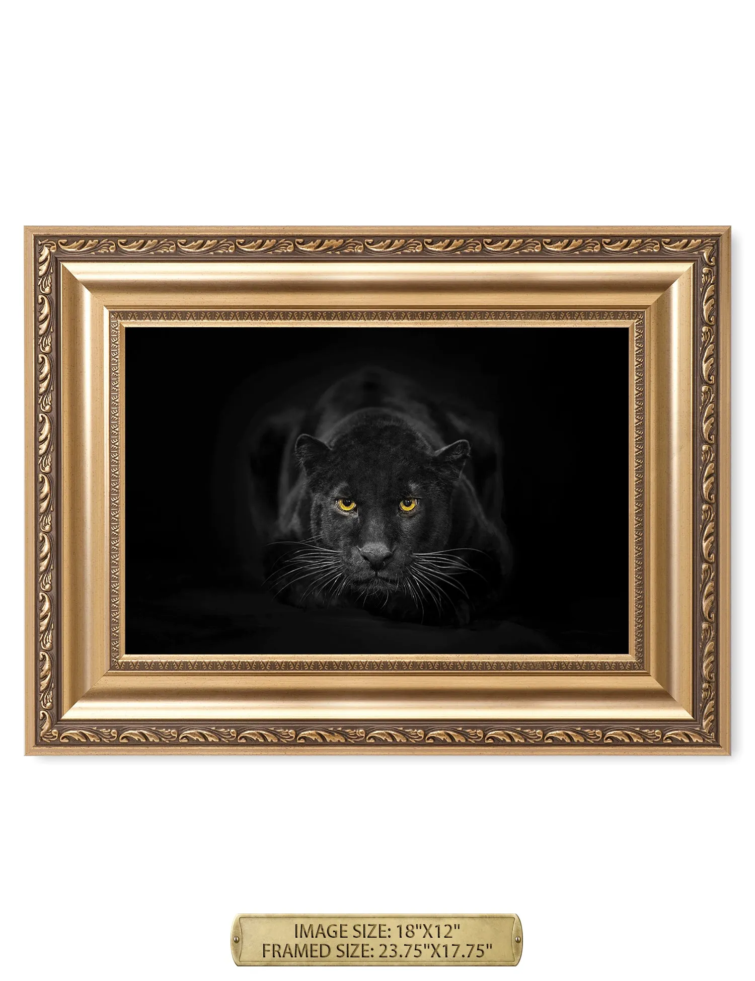 Black Panther Wild Animal Wall Art.