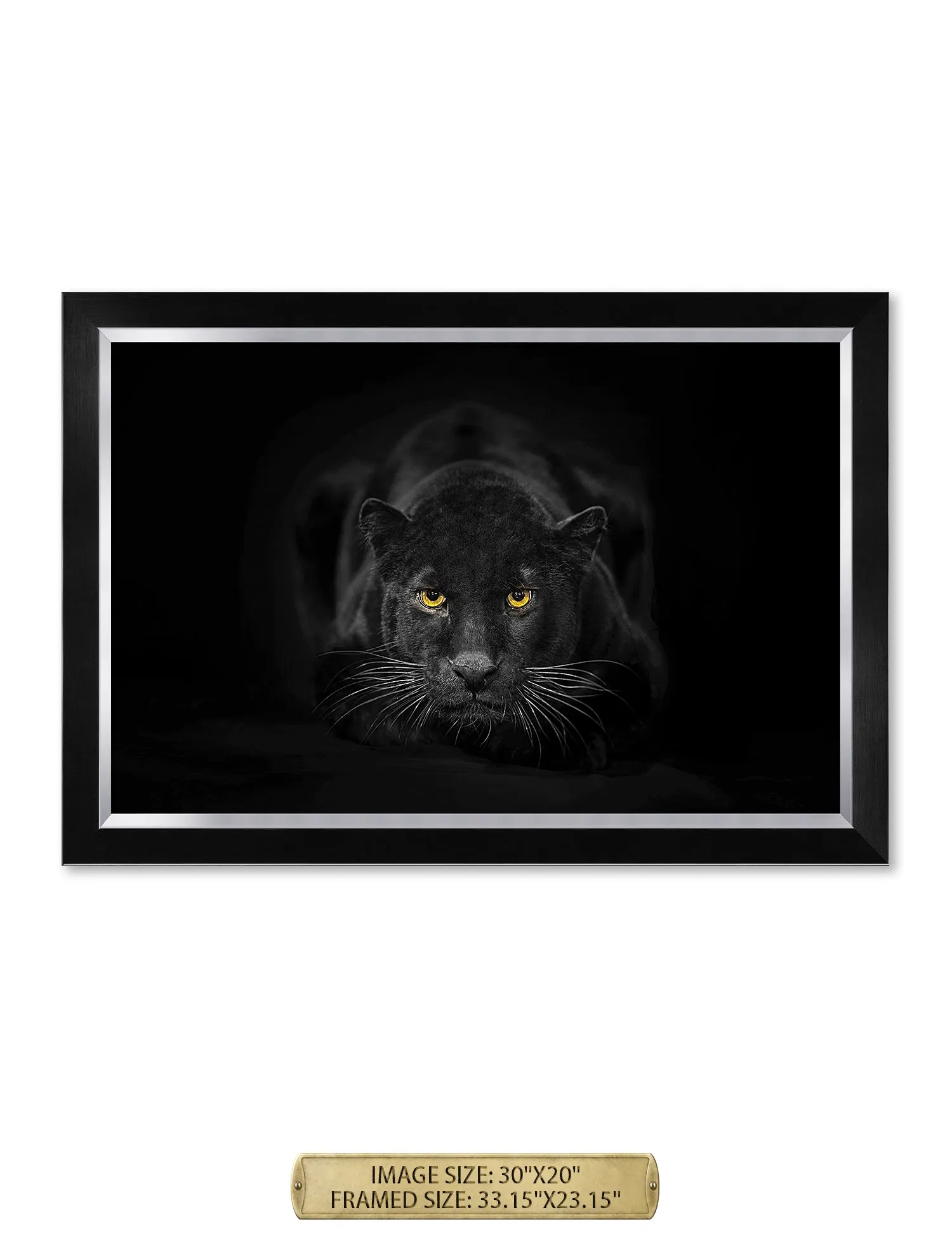 Black Panther Wild Animal Wall Art.