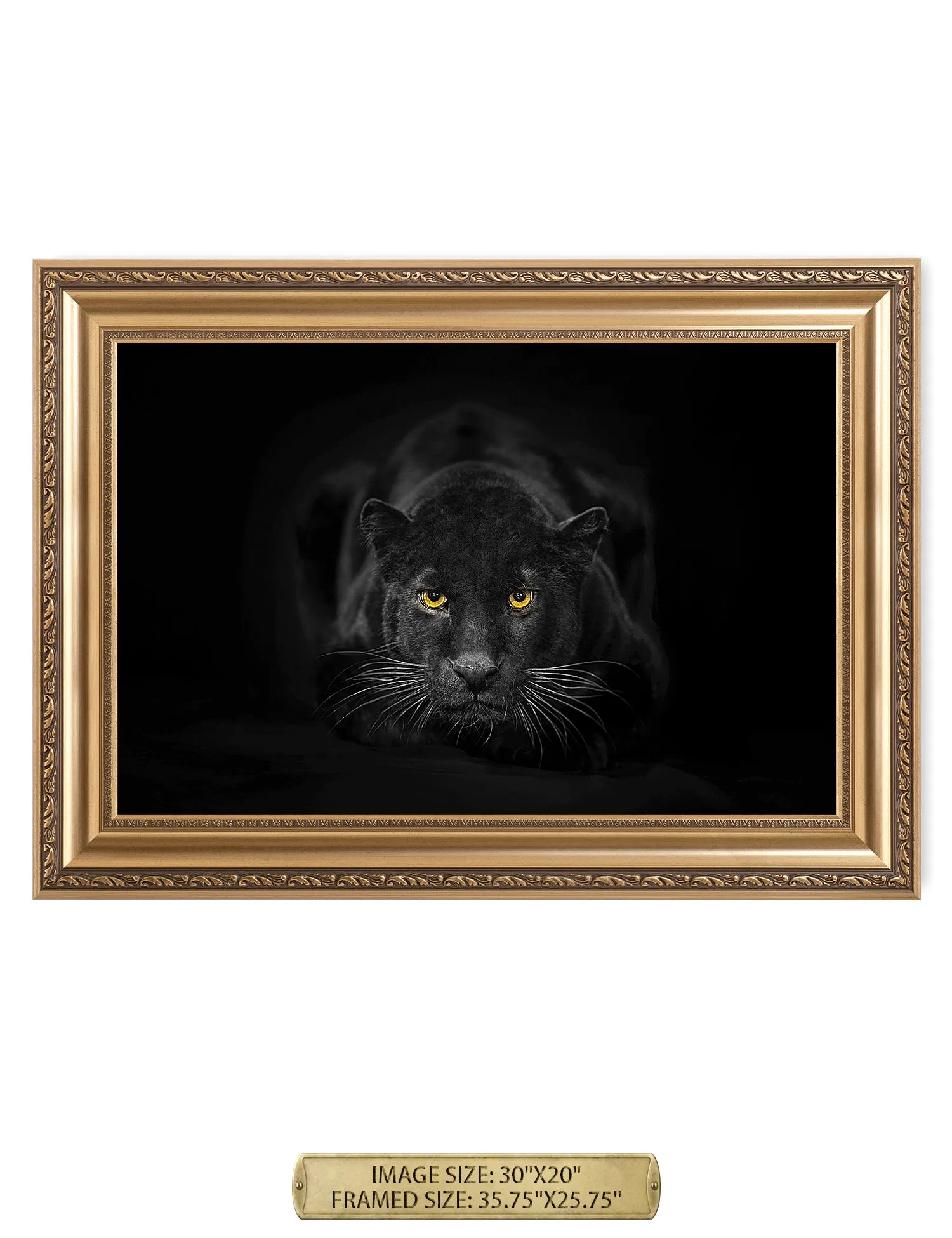 Black Panther Wild Animal Wall Art.