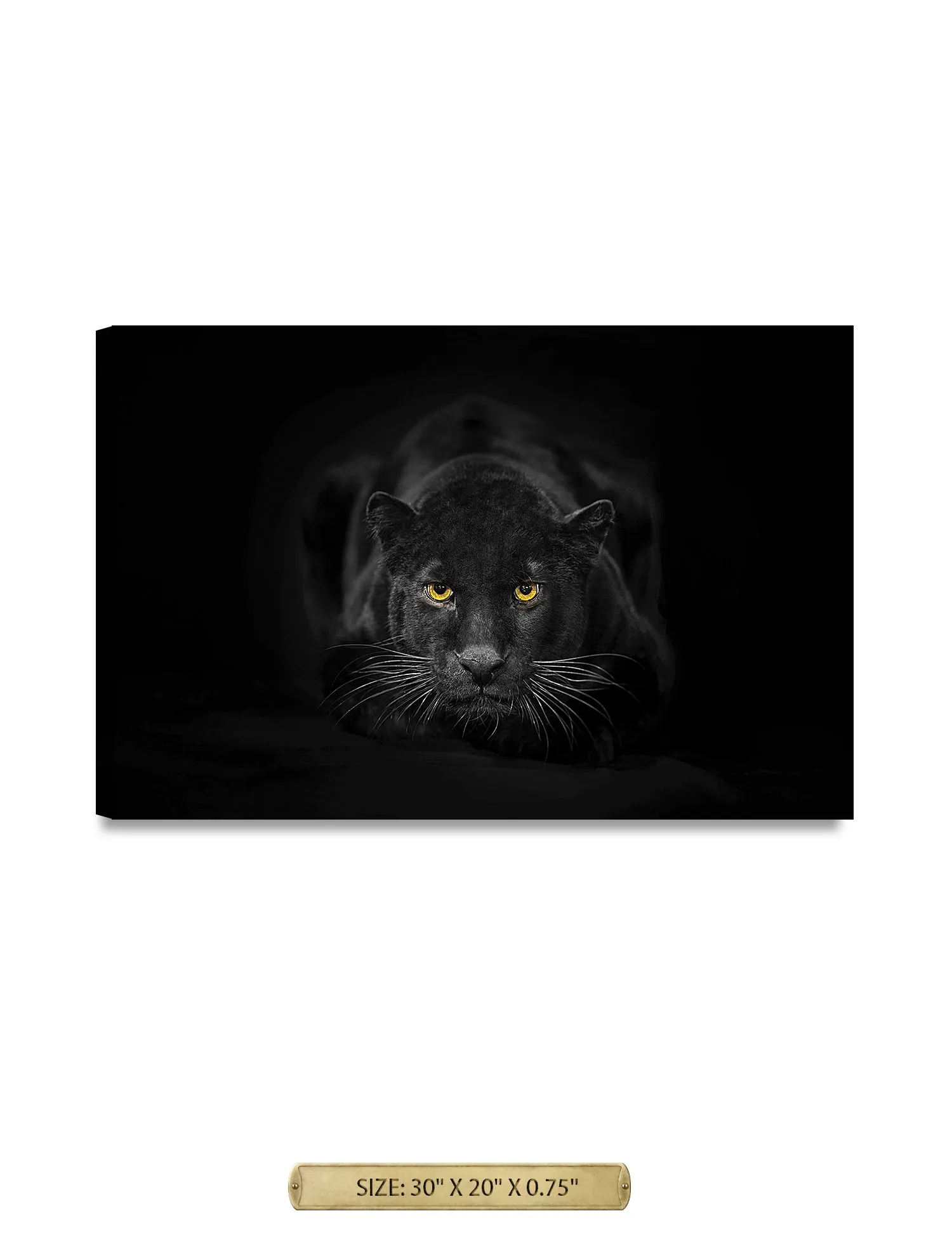 Black Panther Wild Animal Wall Art.