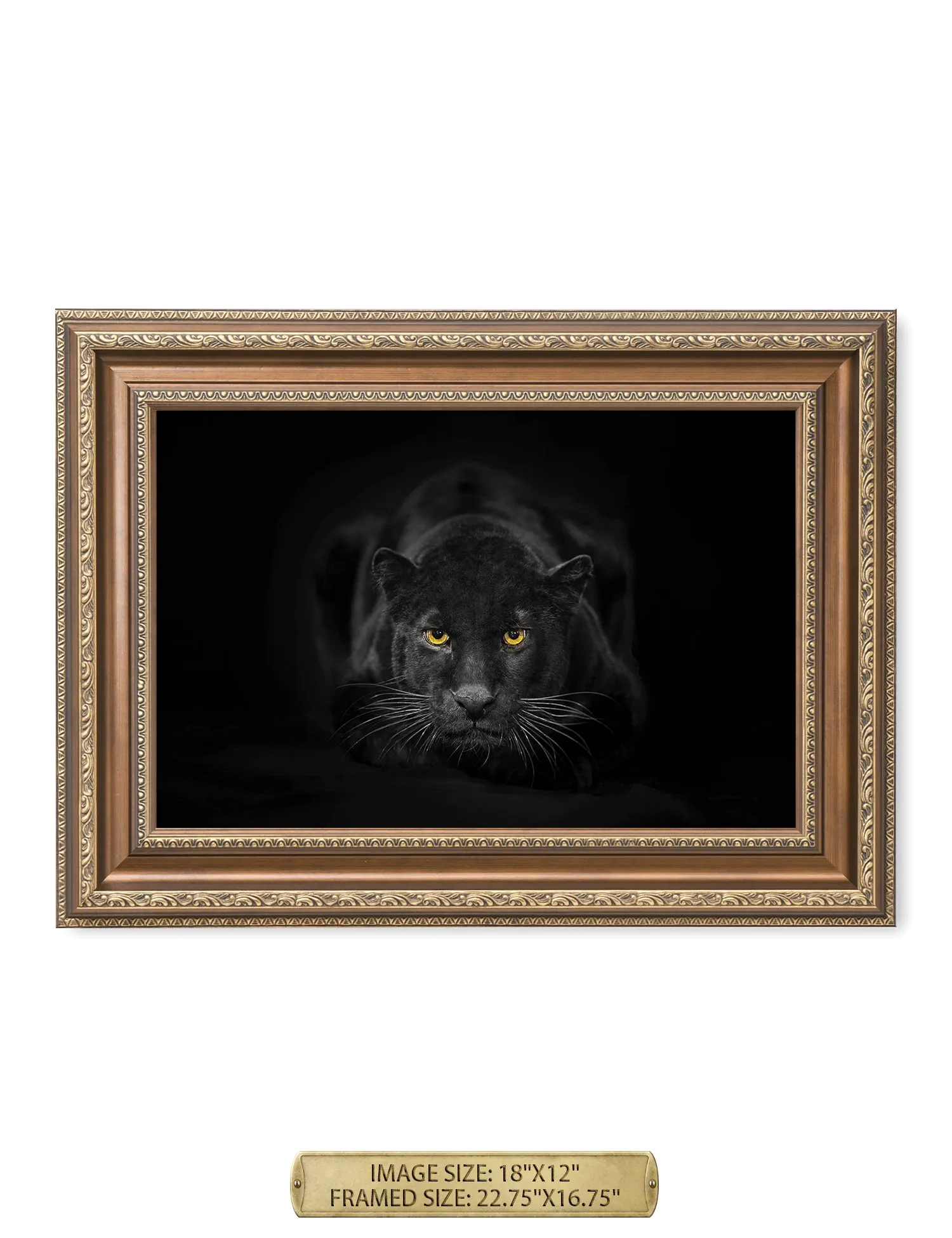 Black Panther Wild Animal Wall Art.