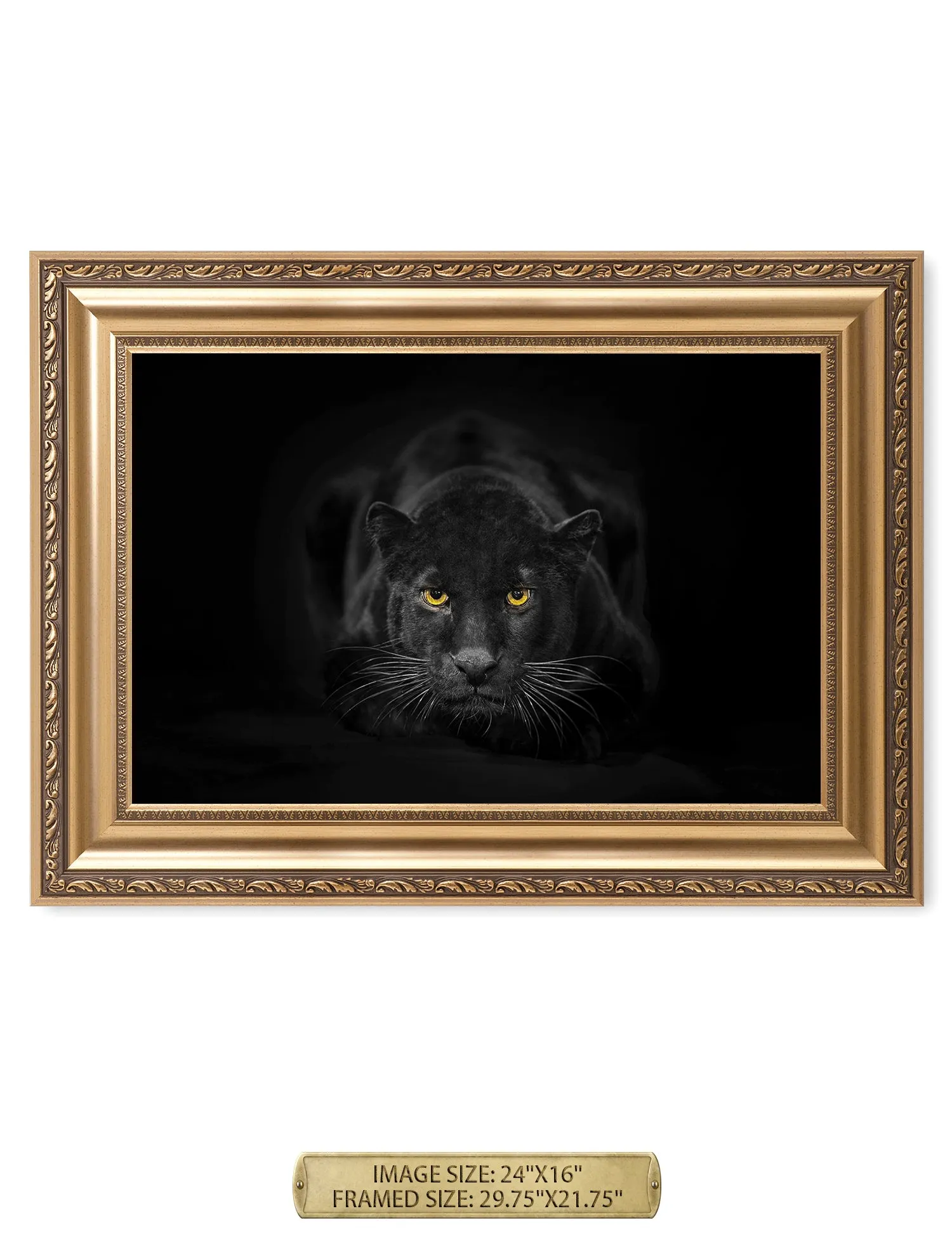 Black Panther Wild Animal Wall Art.