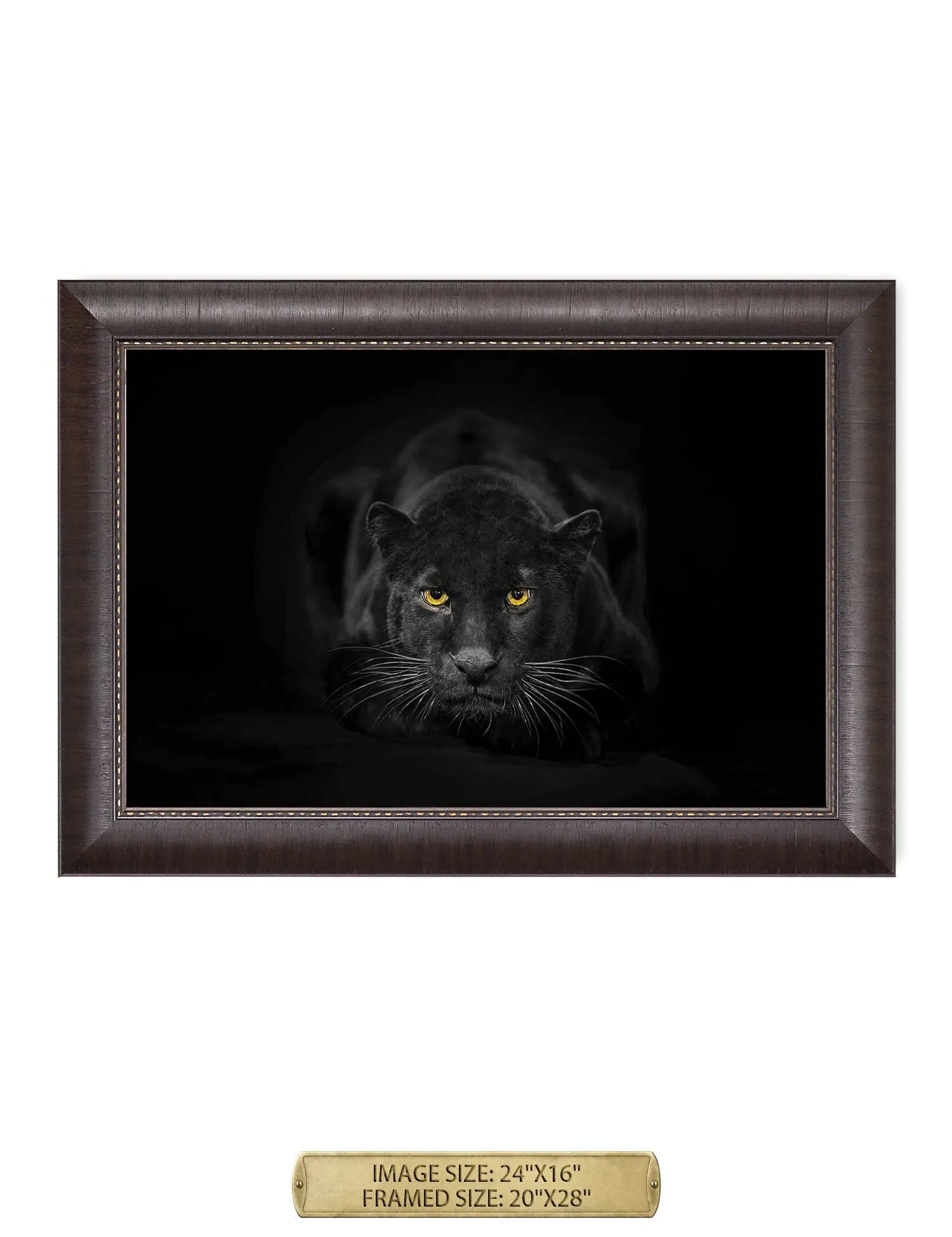 Black Panther Wild Animal Wall Art.