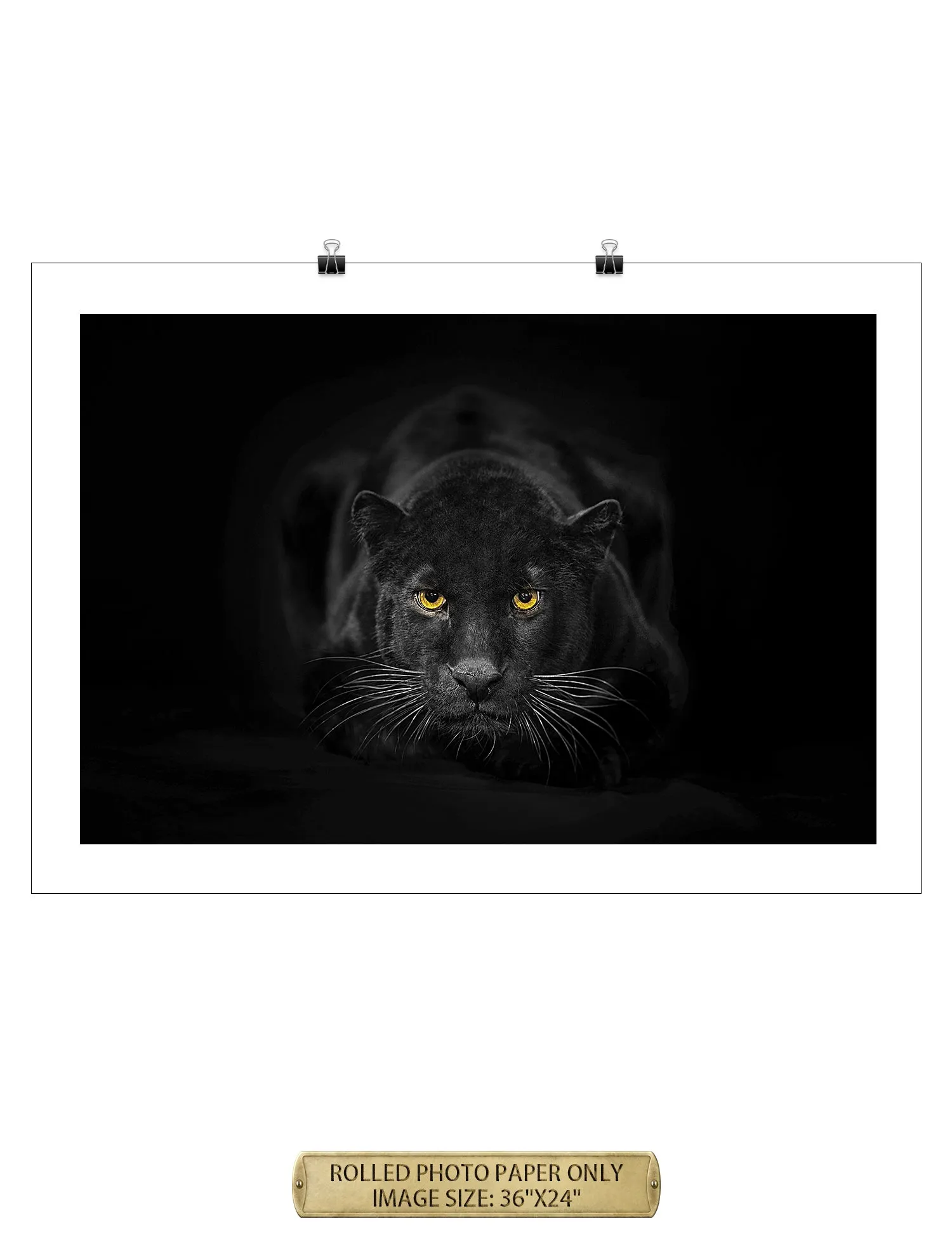 Black Panther Wild Animal Wall Art.