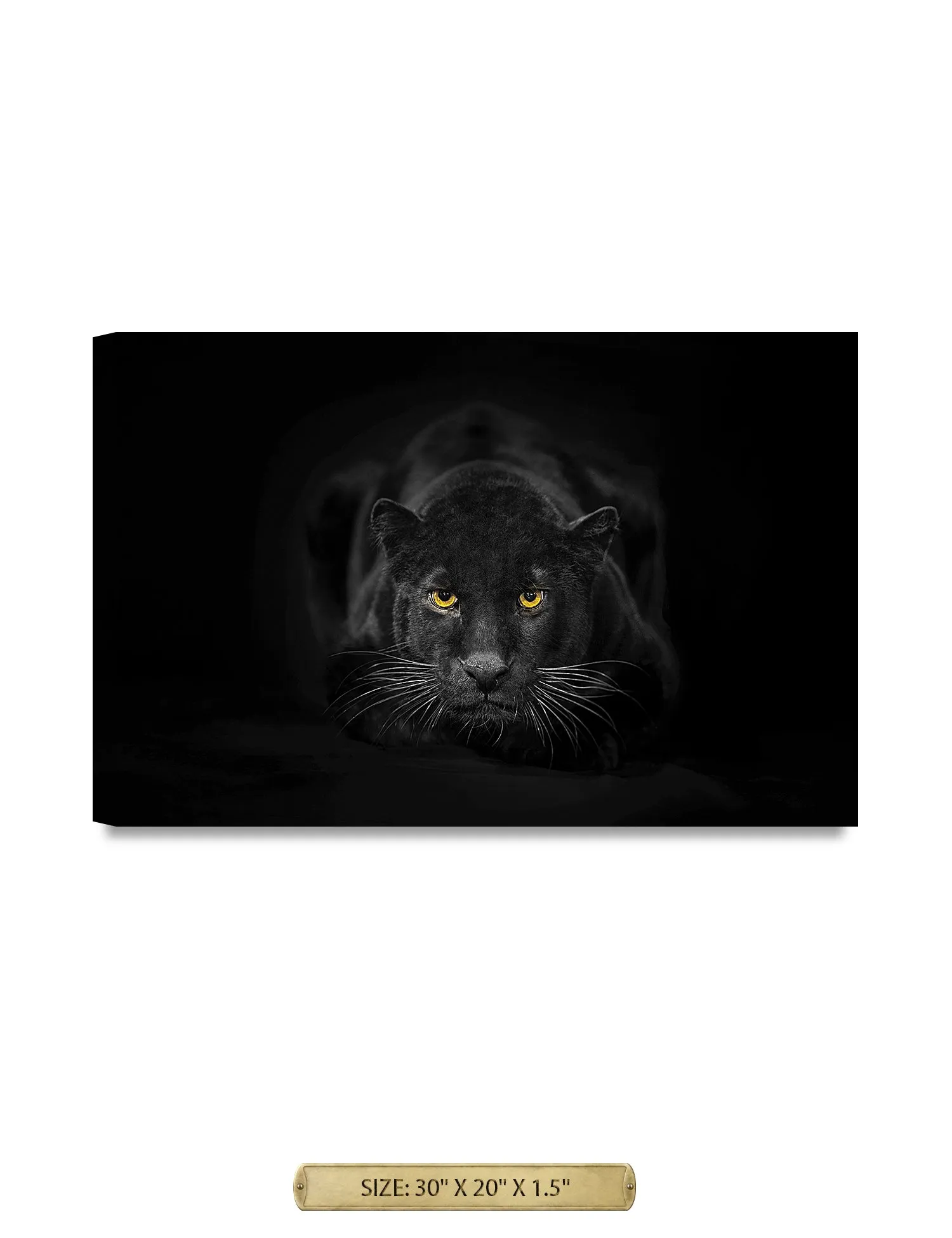 Black Panther Wild Animal Wall Art.