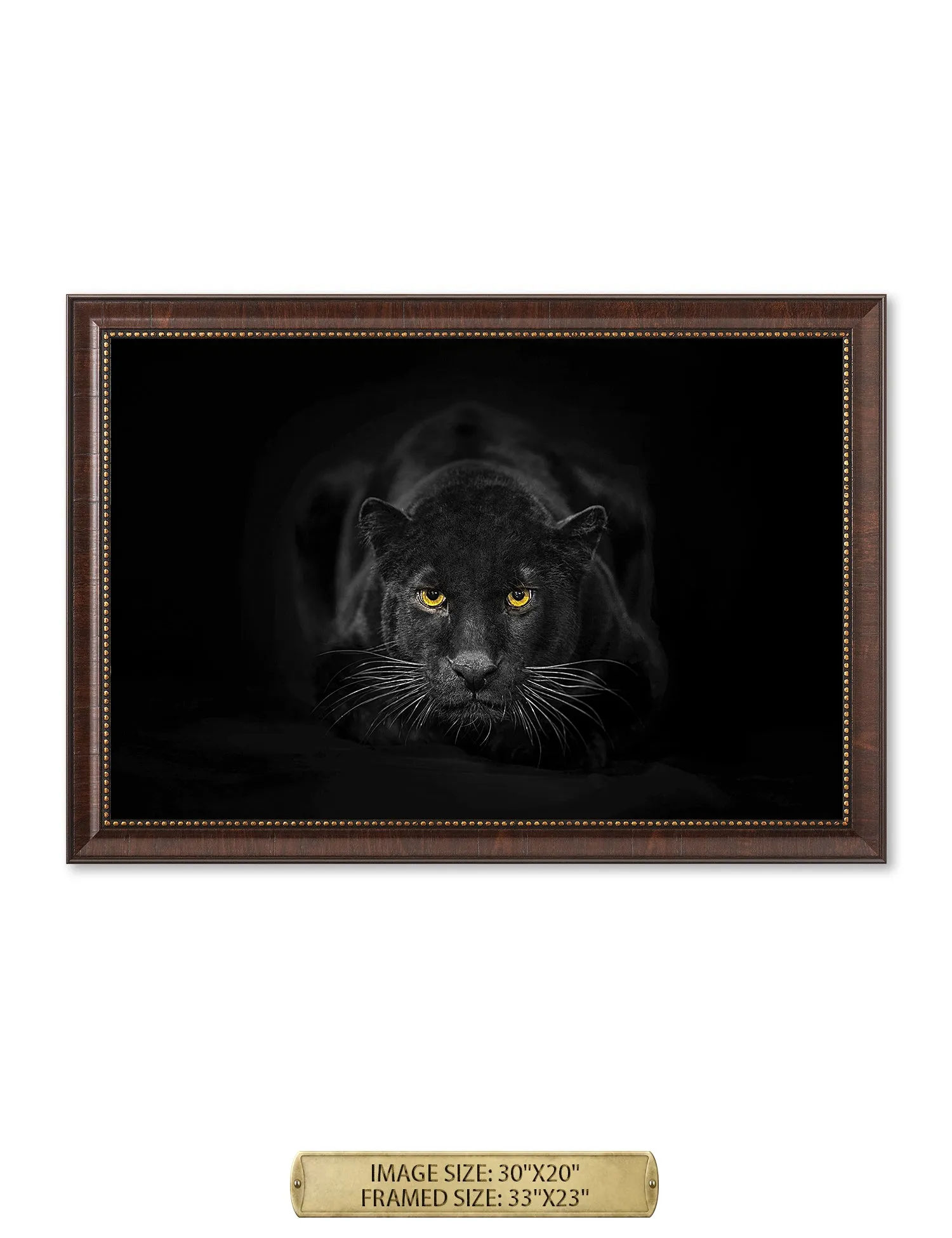 Black Panther Wild Animal Wall Art.