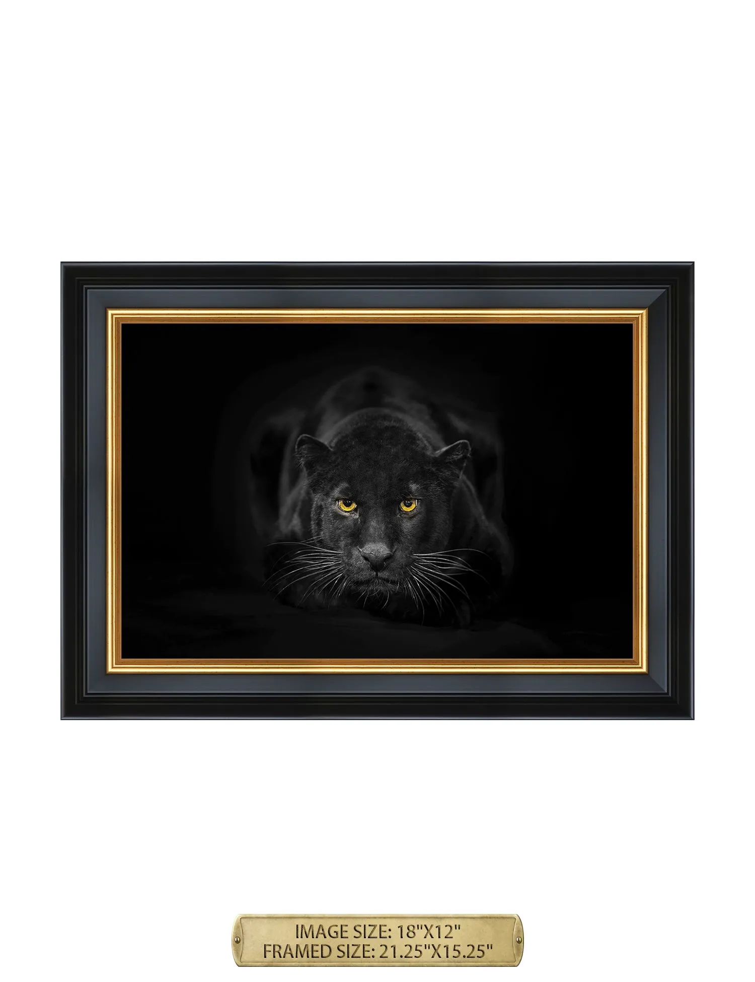 Black Panther Wild Animal Wall Art.