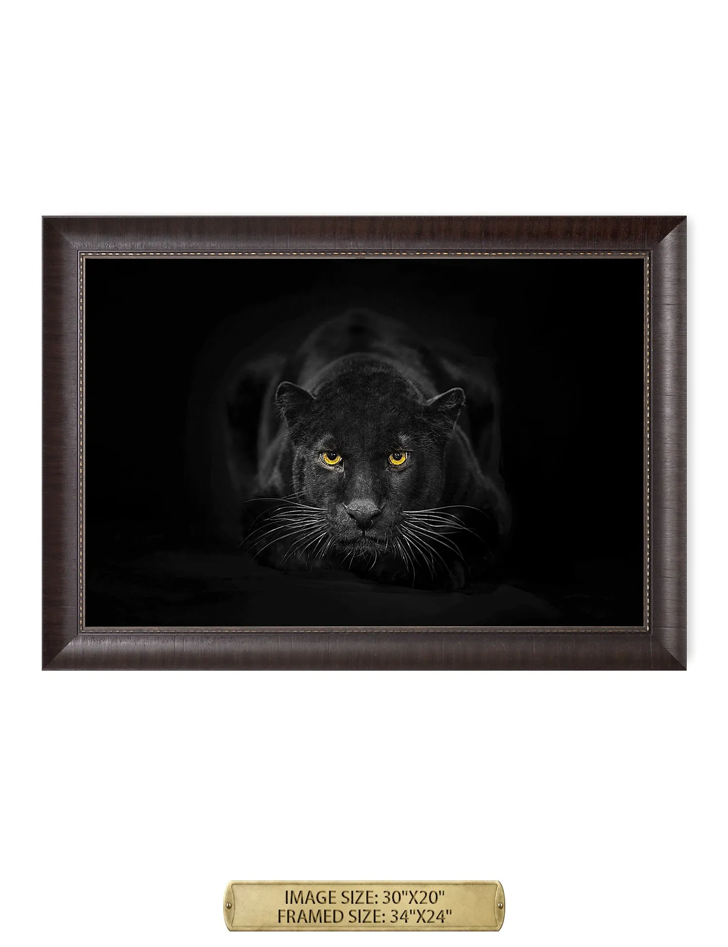 Black Panther Wild Animal Wall Art.