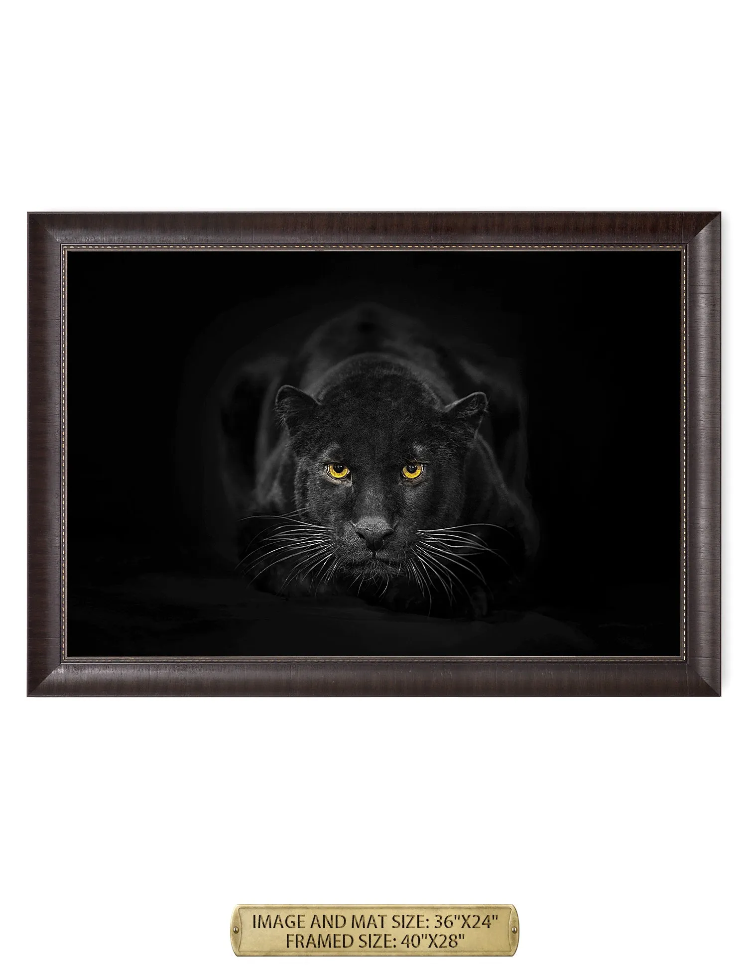 Black Panther Wild Animal Wall Art.