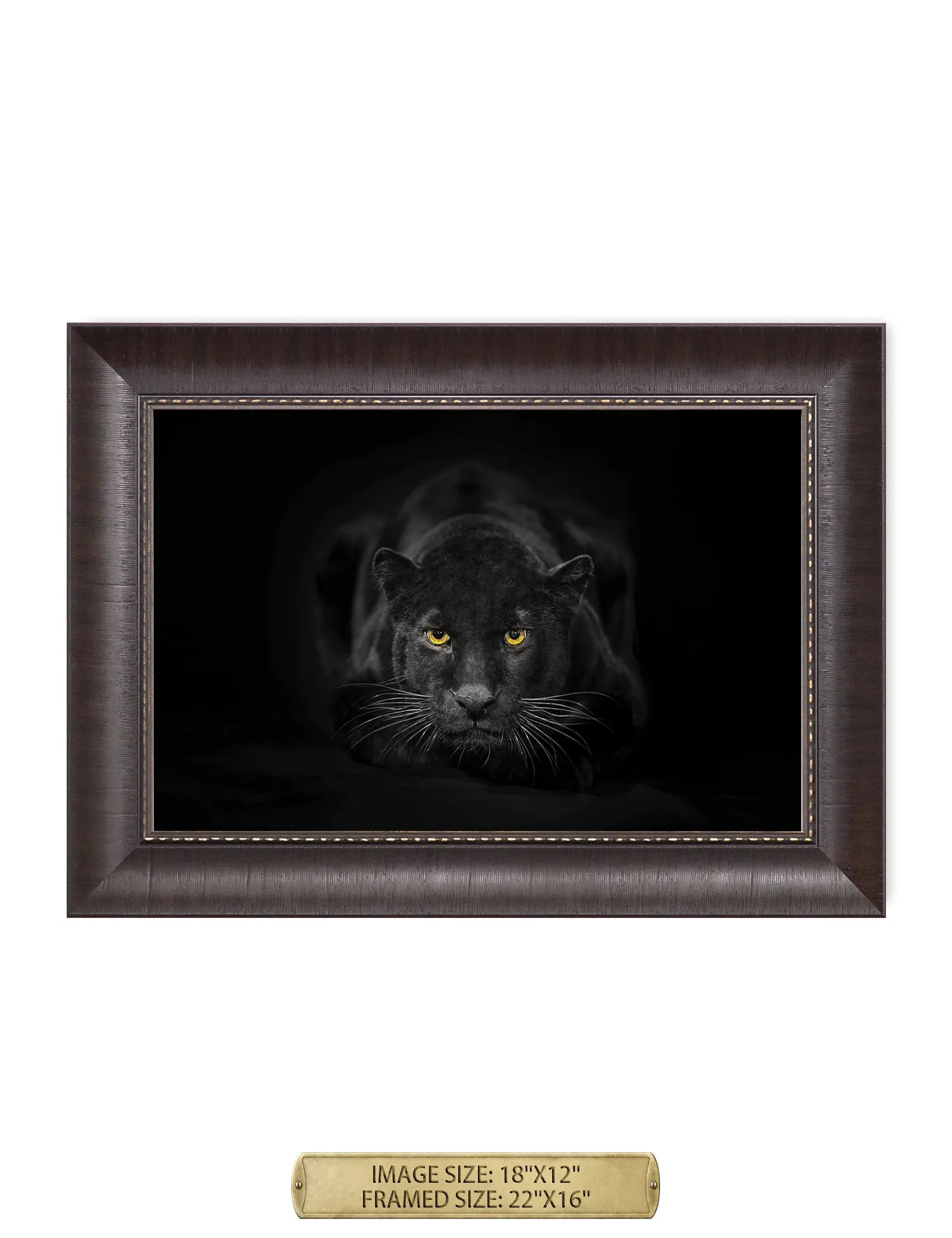 Black Panther Wild Animal Wall Art.