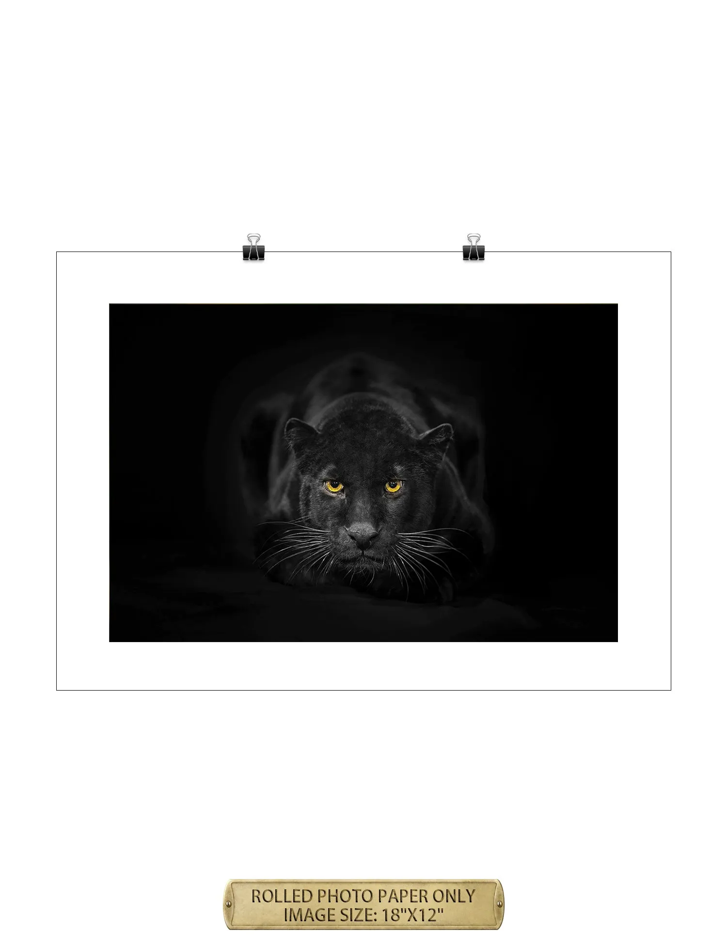 Black Panther Wild Animal Wall Art.