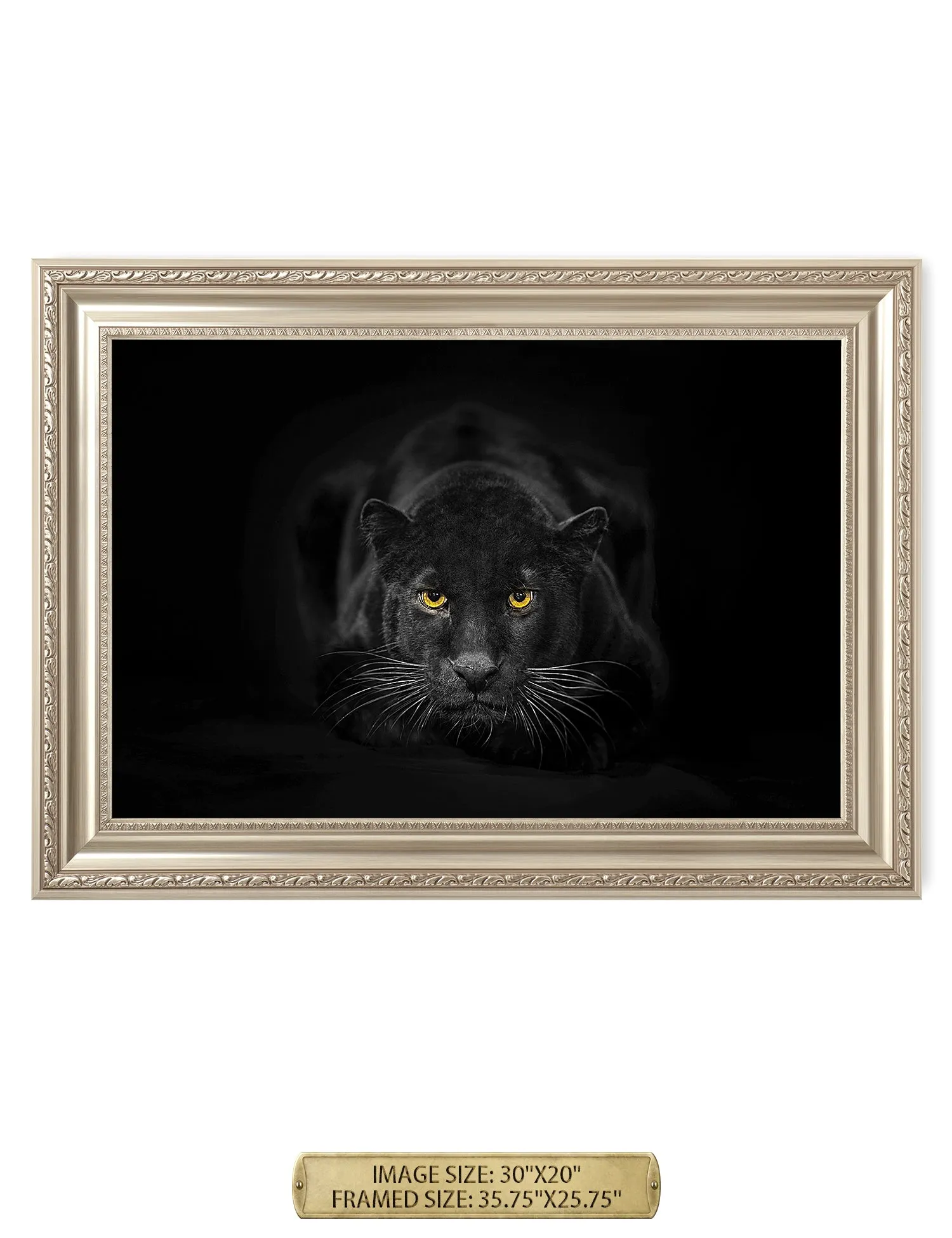 Black Panther Wild Animal Wall Art.