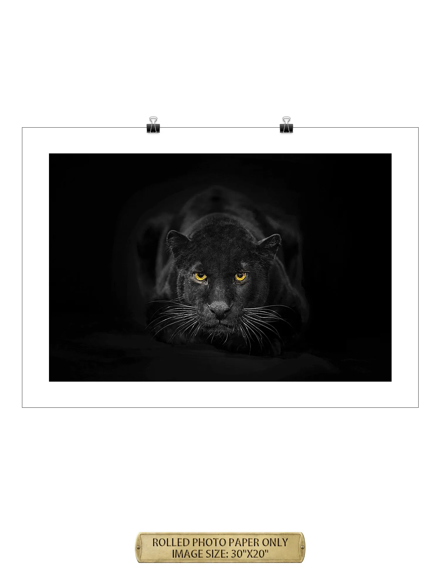 Black Panther Wild Animal Wall Art.