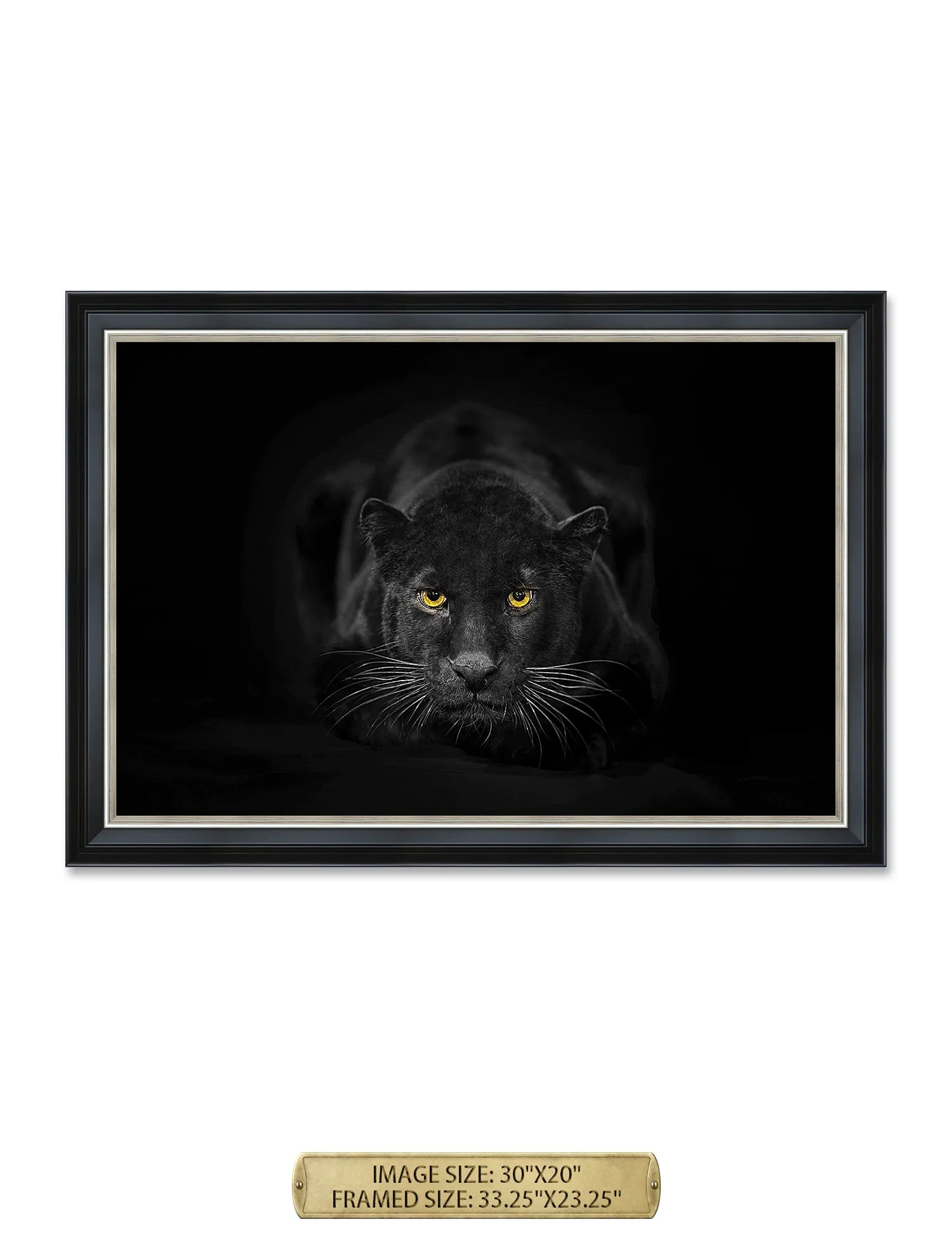 Black Panther Wild Animal Wall Art.