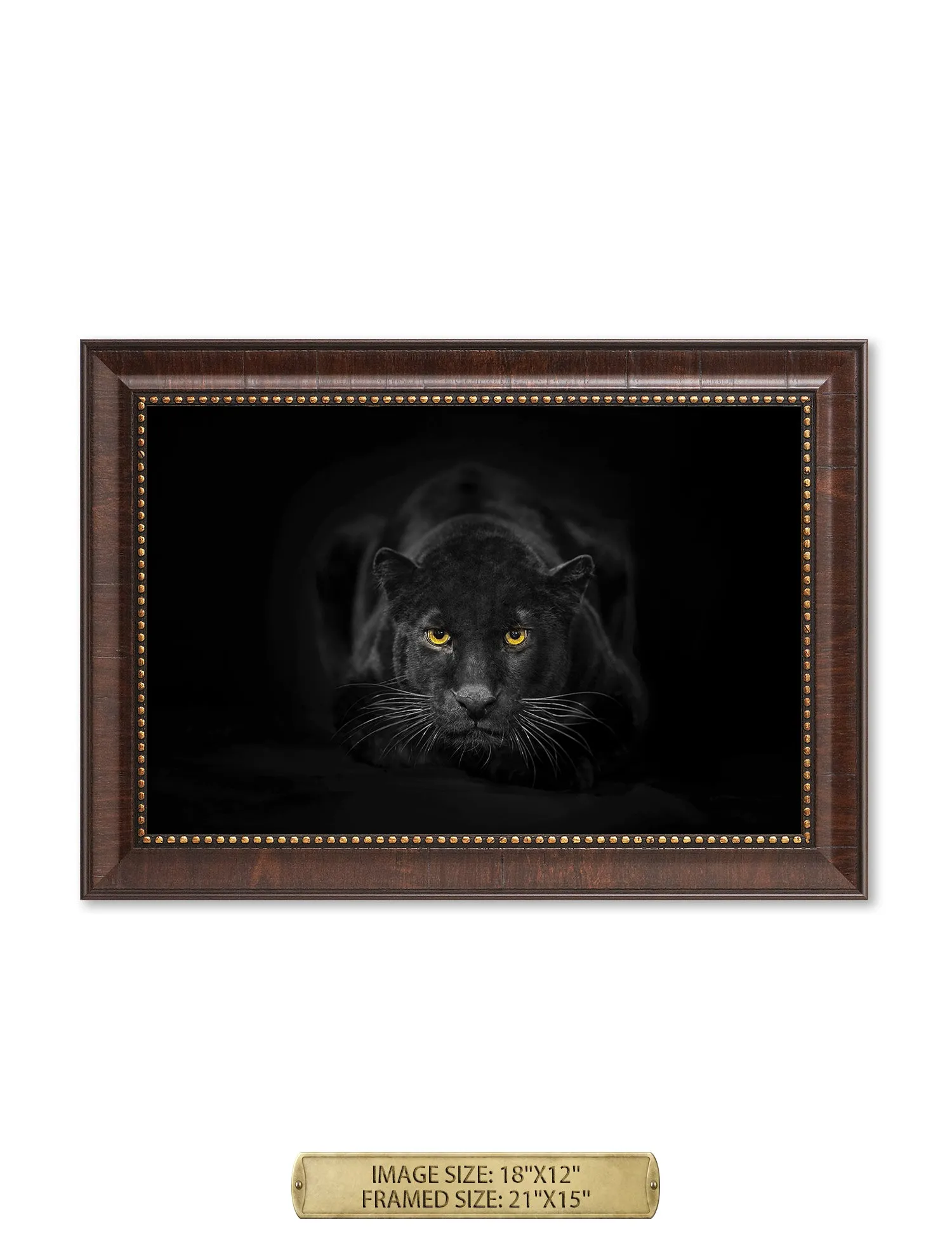 Black Panther Wild Animal Wall Art.