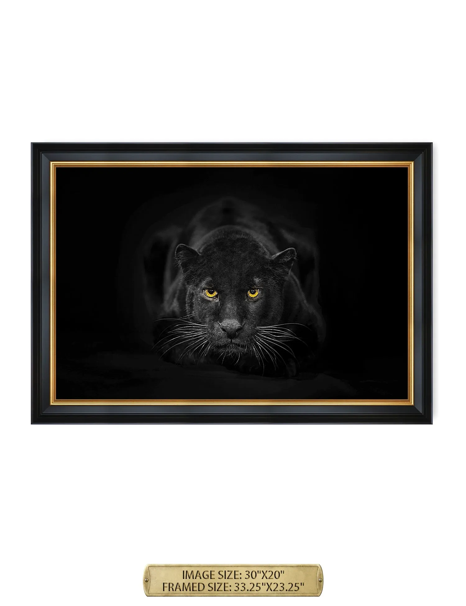 Black Panther Wild Animal Wall Art.