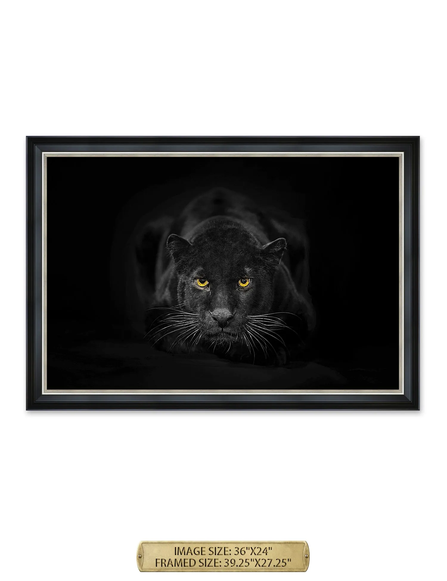 Black Panther Wild Animal Wall Art.