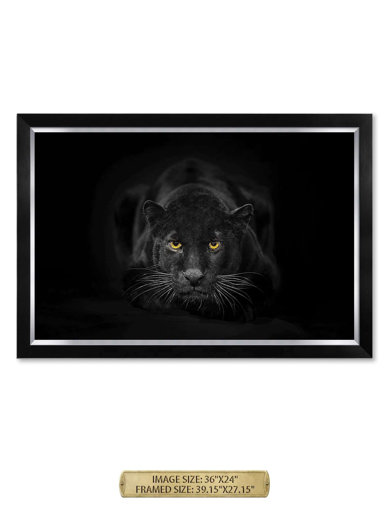 Black Panther Wild Animal Wall Art.