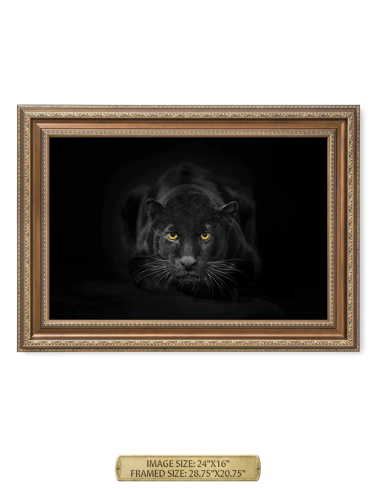 Black Panther Wild Animal Wall Art.