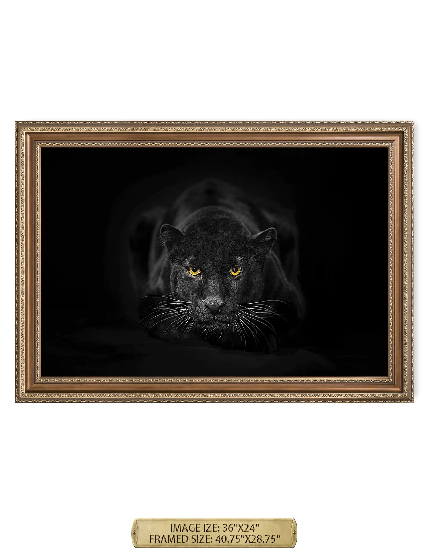 Black Panther Wild Animal Wall Art.