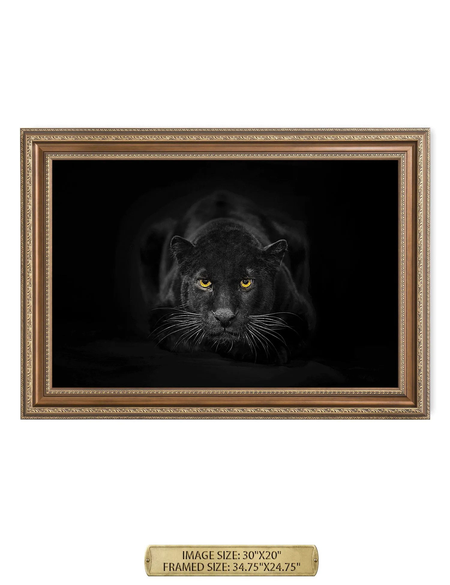 Black Panther Wild Animal Wall Art.