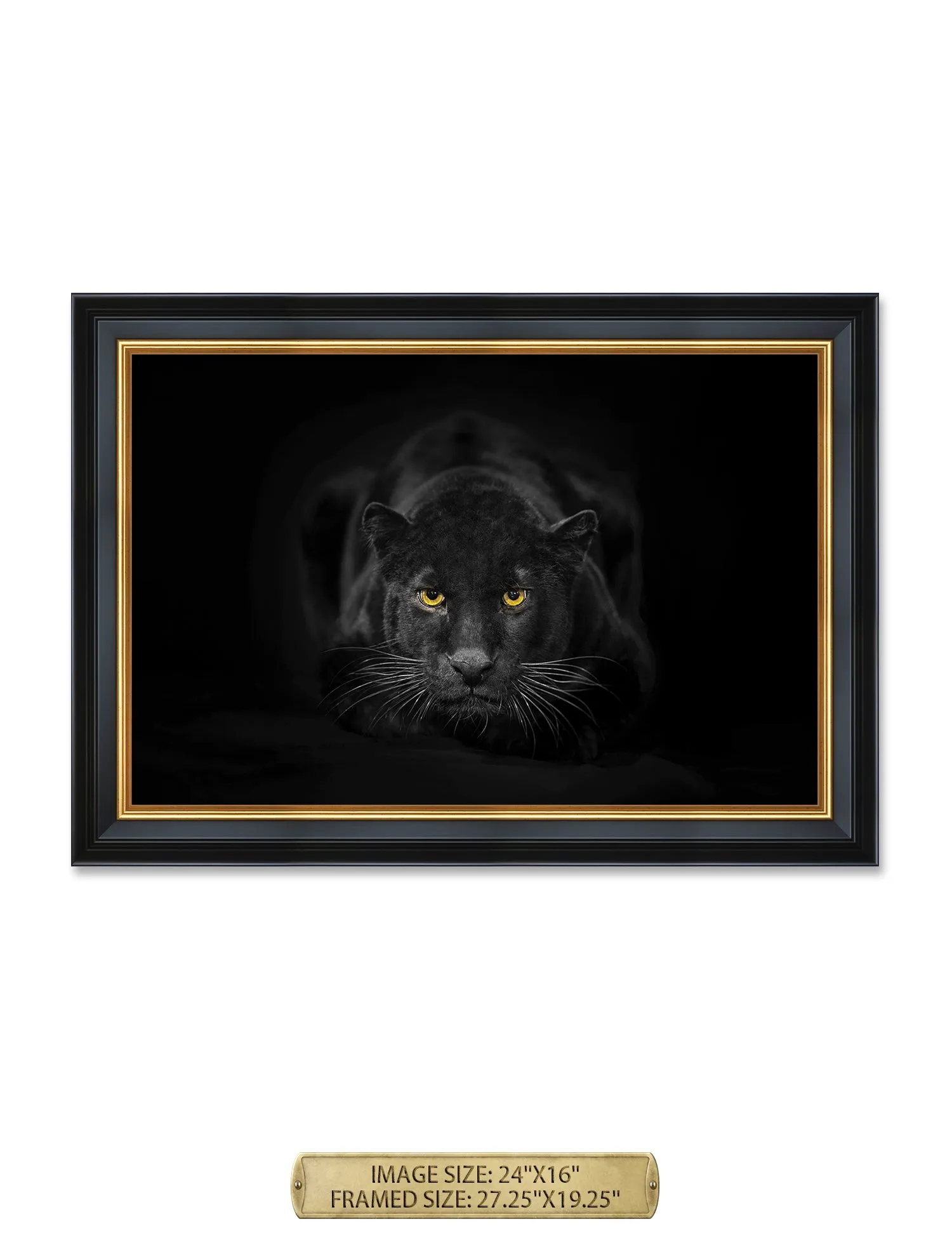 Black Panther Wild Animal Wall Art.