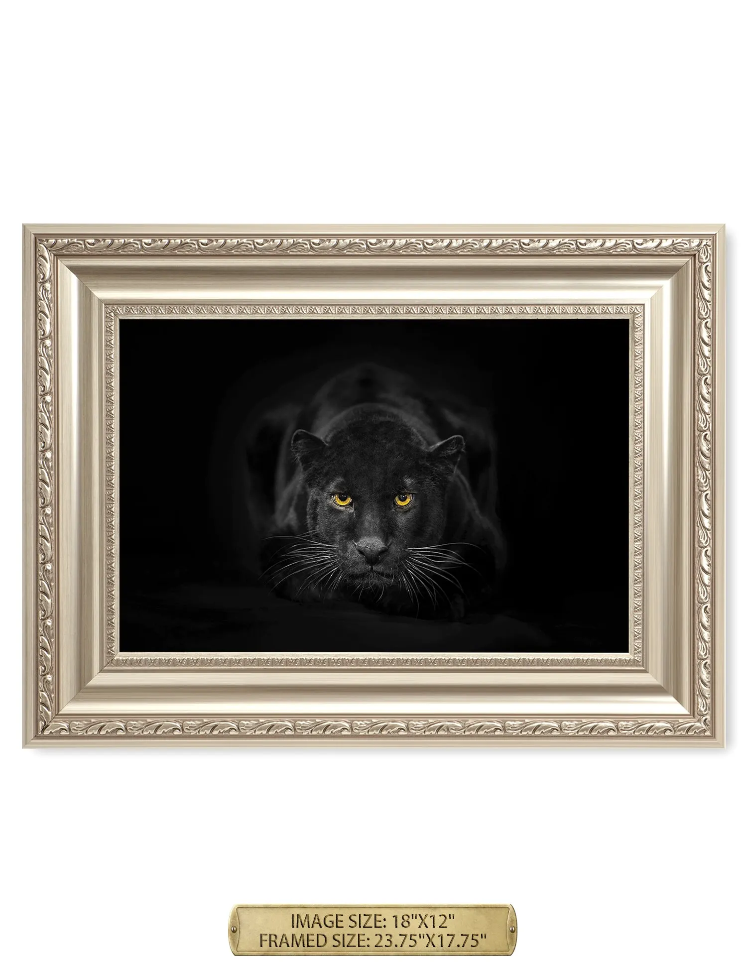 Black Panther Wild Animal Wall Art.