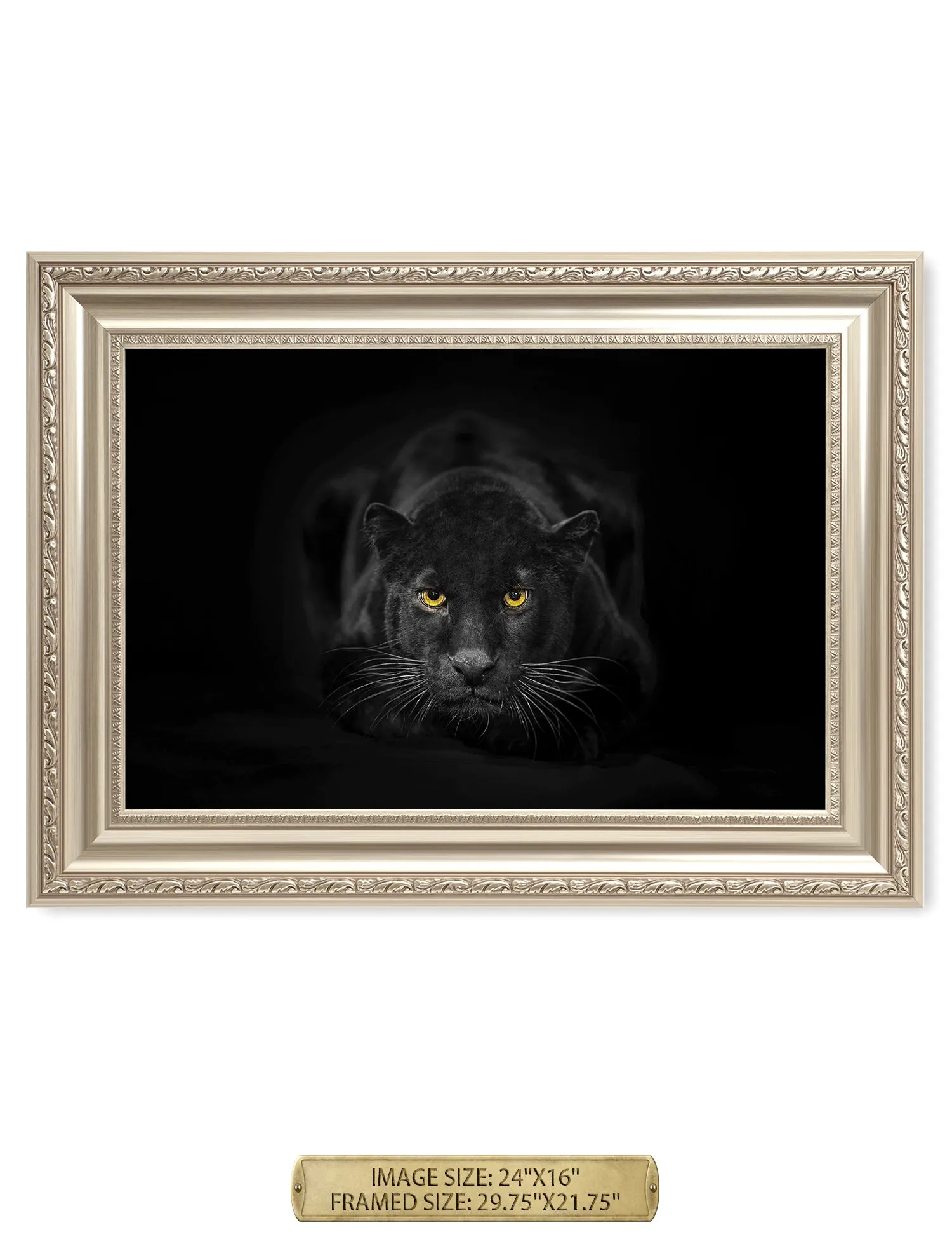 Black Panther Wild Animal Wall Art.