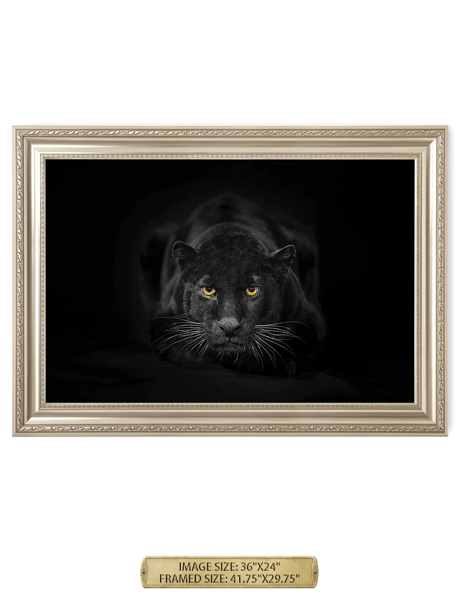 Black Panther Wild Animal Wall Art.