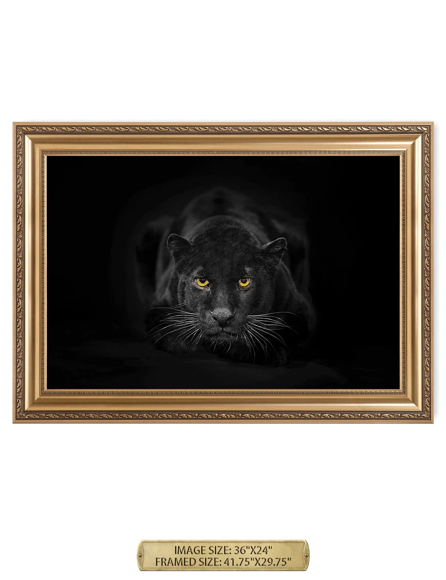 Black Panther Wild Animal Wall Art.