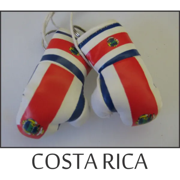 Costa Rica Mini Boxing Glove