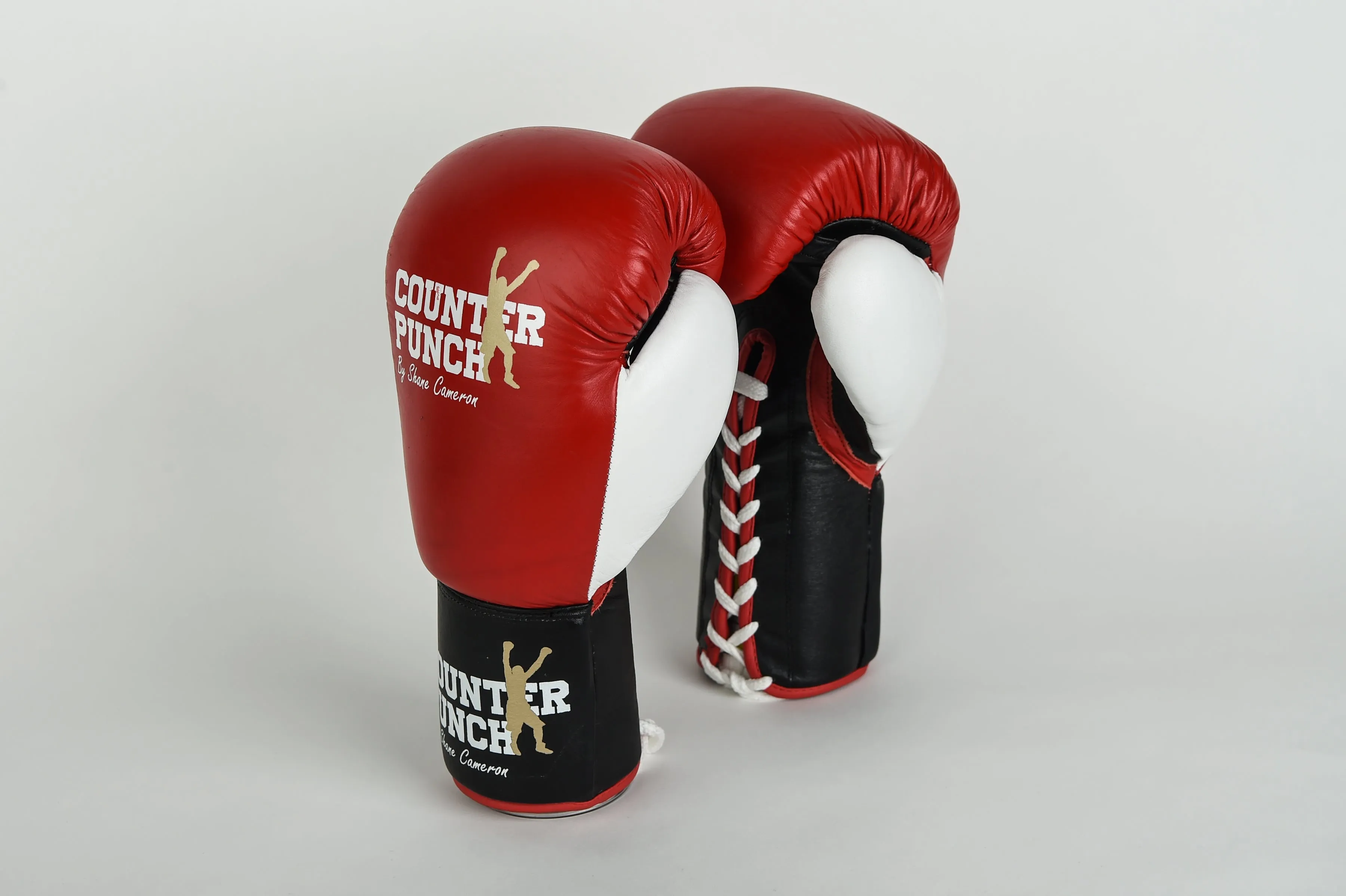 Pro Boxing Gloves