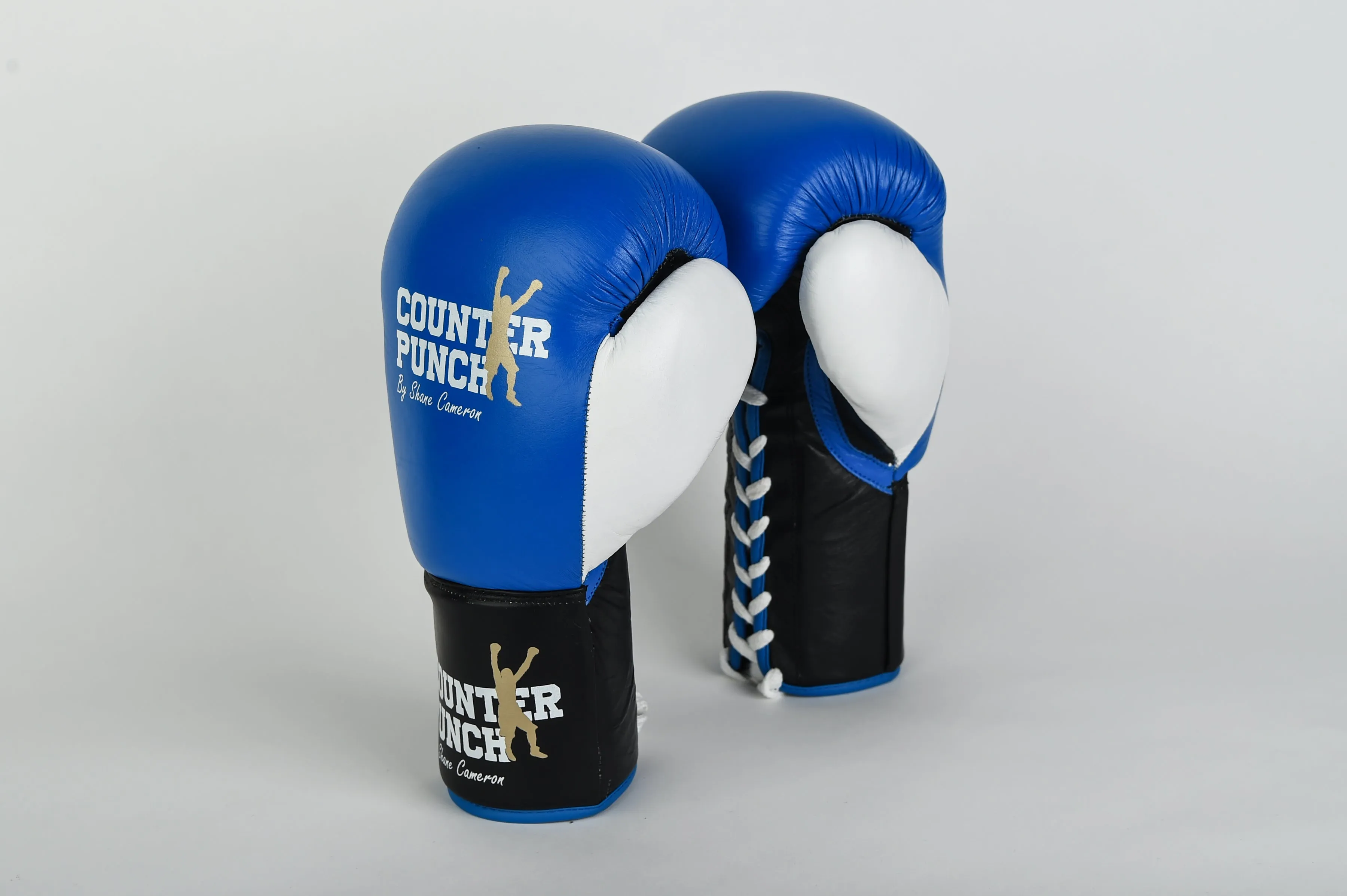 Pro Boxing Gloves