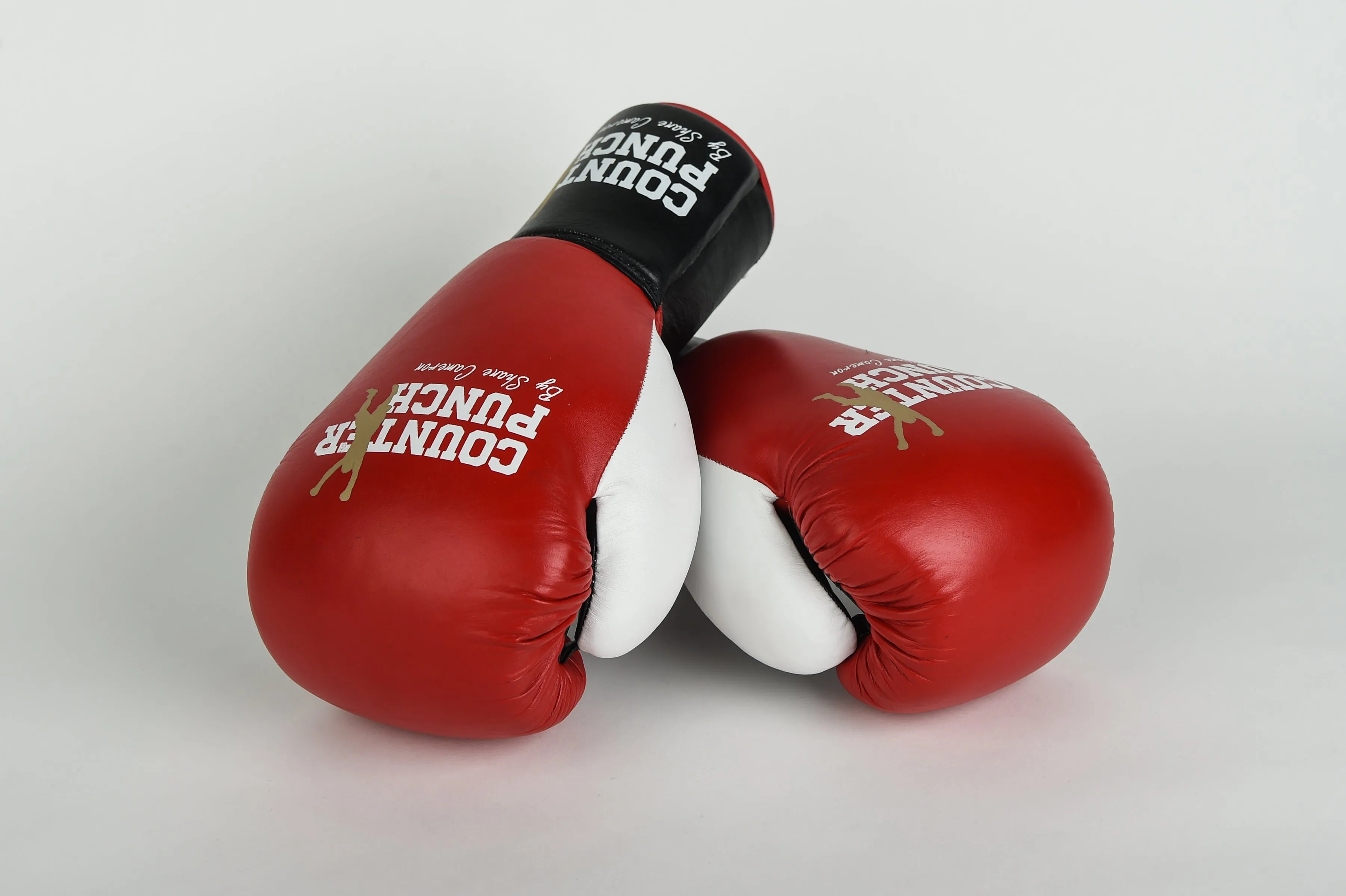 Pro Boxing Gloves