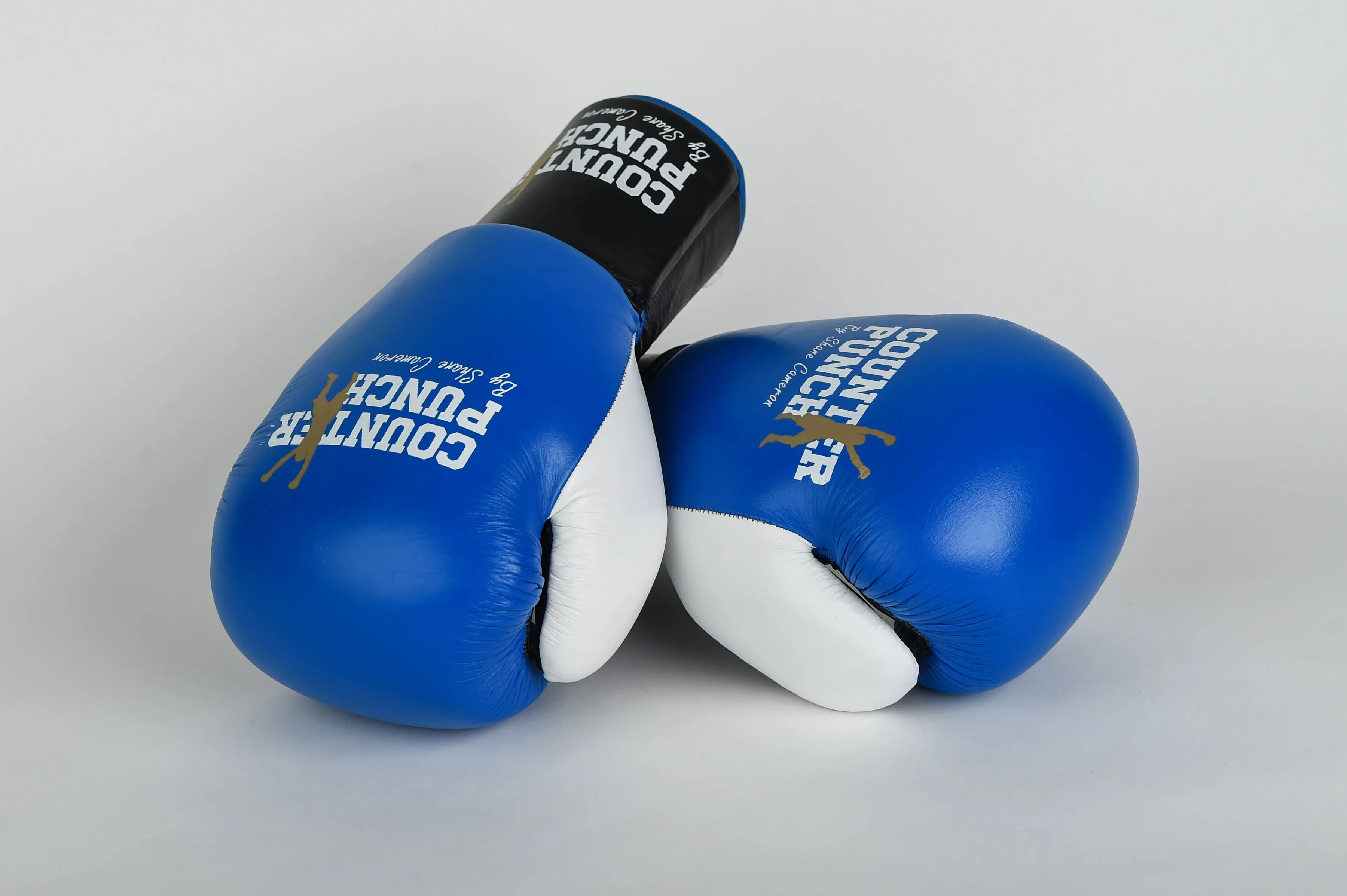 Pro Boxing Gloves