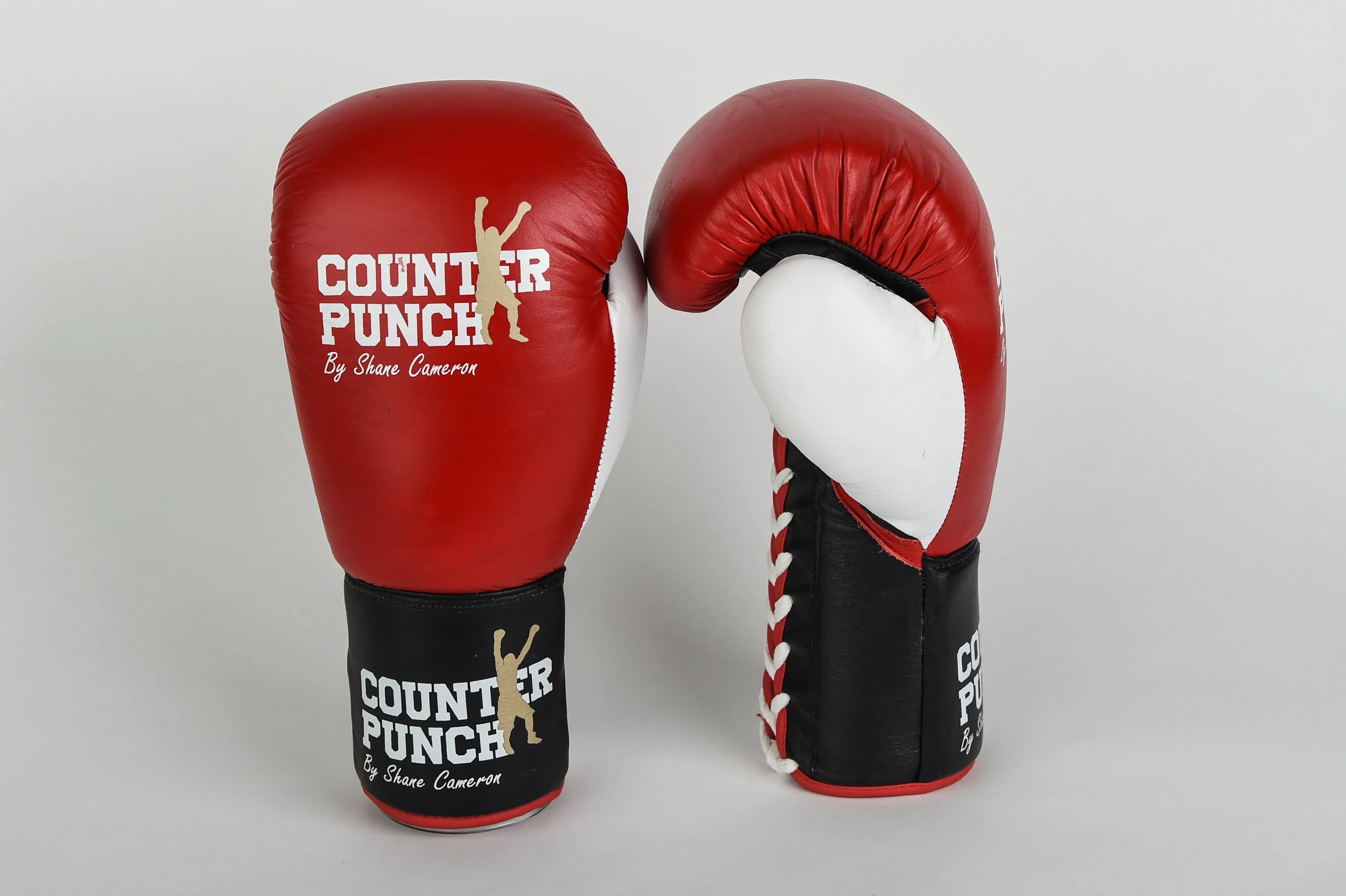 Pro Boxing Gloves